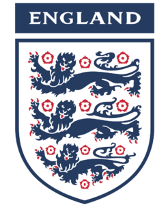 home team logo