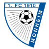 home team logo