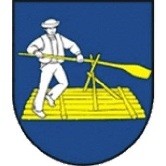 home team logo