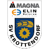 home team logo