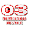 home team logo