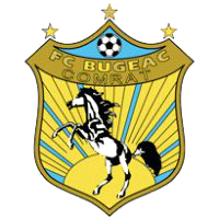 home team logo