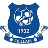 home team logo