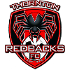 home team logo