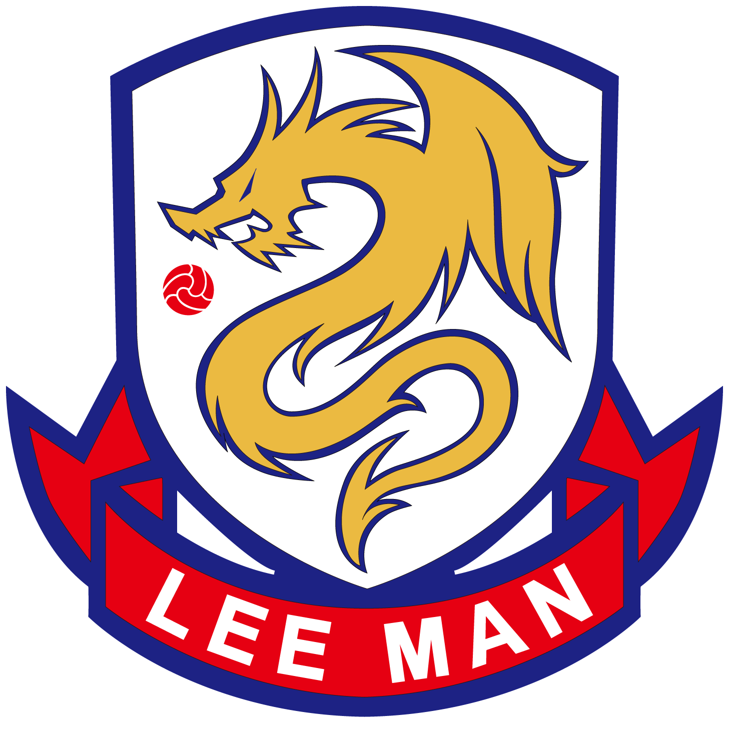 home team logo