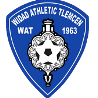 home team logo