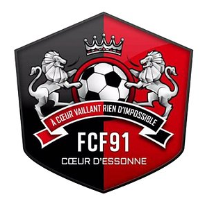 home team logo