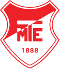 home team logo