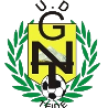 home team logo