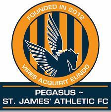 home team logo