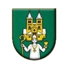 home team logo