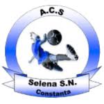 home team logo