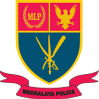 home team logo
