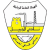 home team logo