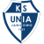 home team logo