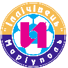 home team logo