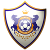home team logo