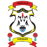 away team logo