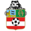 home team logo