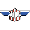 home team logo