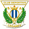 home team logo