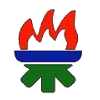 home team logo