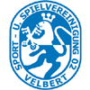 home team logo