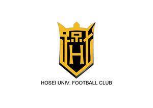 home team logo