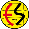 home team logo