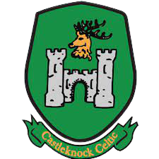 home team logo