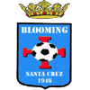 home team logo