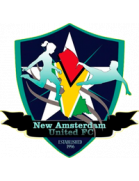 home team logo
