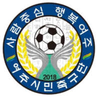 home team logo