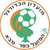 home team logo