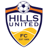 home team logo
