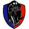 home team logo