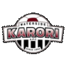 home team logo