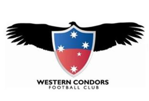 home team logo