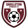 home team logo