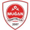 home team logo