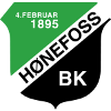 home team logo