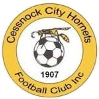 home team logo