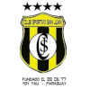 home team logo