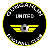 home team logo