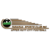 home team logo