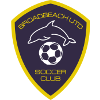 home team logo