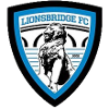 home team logo