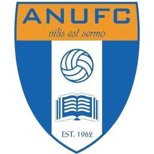 home team logo