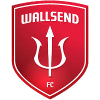 home team logo