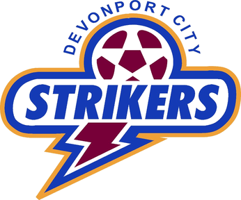 home team logo